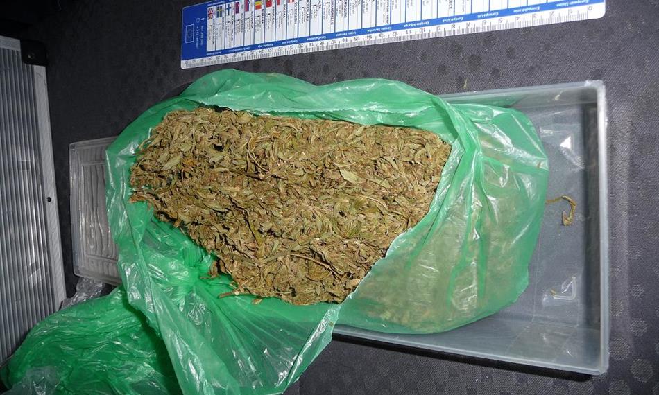 2012-2-28-1056marihuana 2.JPG